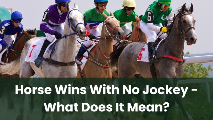 Horse Wins With No Jockey - What Does It Mean?