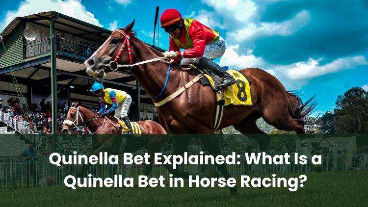 Quinella Bet Explained: What Is a Quinella Bet in Horse Racing?